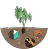 Hawai&#699;i Soil Health